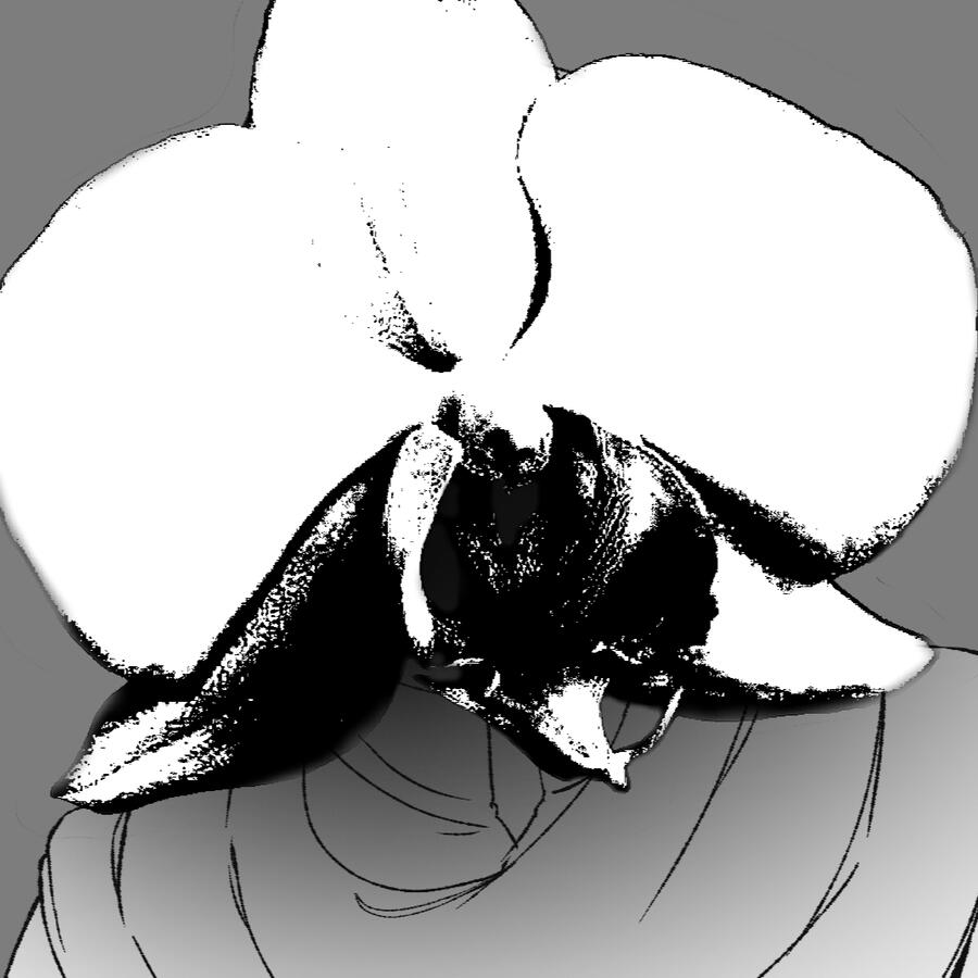 Animation